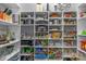 Well-organized pantry with abundant shelving for optimal storage at 1005 Palace Ct # 58, Indian Trail, NC 28079