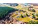 Expansive aerial shot of a residential area nestled among trees, near a school and athletic fields at 2561 Ellys St, Lincolnton, NC 28092