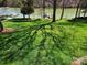 Lush green lawn casting dramatic shadows from mature trees leading to a waterfront at 4300 Pointe Norman Dr, Sherrills Ford, NC 28673