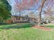 Well-manicured lawn with mature tree featuring a brick home and black shutters at 4216 Maureen Dr, Charlotte, NC 28205