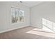 Sunlit bedroom with plush carpeting and a large window at 792 N Davidson St, Charlotte, NC 28202