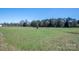 Expansive green field offers plenty of space and potential at 114 Tr Foster Rd, Kings Mountain, NC 28086