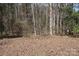 The large, wooded backyard is covered in leaves and mature trees, providing privacy and a natural setting at 7597 Webbs Rd, Denver, NC 28037