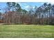 A serene backyard with lush green grass and mature trees, providing a peaceful retreat and ample space at 218 Alenda Lux Cir, Mooresville, NC 28115