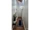 Bright hallway with hardwood floors, white doors, and a potted plant, creating a modern and clean space at 5434 Beckhaven Ln, Charlotte, NC 28216