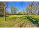 Expansive grassy lot with mature trees and a sunny, clear sky, offering ample space for building or recreation at 121 N Congress St, York, SC 29745