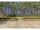 View of backyard from patio, showing playground, grass area and mature trees for privacy at 160 Belfry Loop, Mooresville, NC 28117