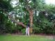 Spacious yard with a majestic tree, perfect for enjoying the outdoors at 203 S Washington St, Monroe, NC 28112