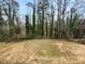 Picturesque backyard view featuring a natural landscape filled with lush green trees at 510 Newport Dr, Salisbury, NC 28144