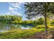 Tranquil pond view framed by lush greenery, ideal for nature enthusiasts at 532 Dalkeith Ave, Rock Hill, SC 29732