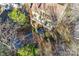 Aerial view of the backyard, showcasing a deck and a trampoline at 6008 Lanai Ln, Tega Cay, SC 29708