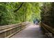 Scenic view of a wooden park bridge surrounded by lush greenery and foliage at 4102 Harmony Hills Dr, Matthews, NC 28104