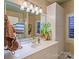 Bright bathroom featuring a large mirror, decorative plants and a long vanity with great storage at 4510 Old Course Dr, Charlotte, NC 28277