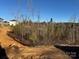 Backyard with new construction, a wooded area, and a safety fence at 117 High Rock Ct # 9, Statesville, NC 28677