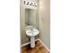 A half bathroom features a pedestal sink, mirror and modern lighting at 217 Century Dr, Salisbury, NC 28147