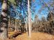 Backyard with a dense stand of tall trees, offering privacy and shade at 2333 Howells Ferry Rd, Hickory Grove, SC 29717