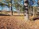 Backyard with scattered pine needles, providing a view of natural landscape and trees at 2333 Howells Ferry Rd, Hickory Grove, SC 29717