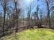 Expansive wooded backyard with sunlight shining through trees onto grassy lawn at 5011 Abercromby St, Charlotte, NC 28213