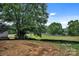 The backyard features a large tree, a flat yard and a black landscape border at 515 Harrel St, Salisbury, NC 28144