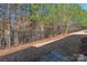 A backyard with trees beyond the metal fence offers privacy at 1005 Sweetleaf Dr, Fort Mill, SC 29707