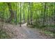 Peaceful nature trails meandering through the community, perfect for walking, jogging, and enjoying nature at 1569 Benjamen Latrobe Cir, Fort Mill, SC 29708