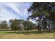 Picturesque front yard with towering mature trees and a white perimeter fence at 11215 Idlewild Rd, Matthews, NC 28105