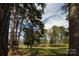 Shaded grassy area surrounded by tall pine trees at 11215 Idlewild Rd, Matthews, NC 28105