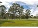 Expansive green lawn lined with a white fence and mature trees in the background at 11215 Idlewild Rd, Matthews, NC 28105