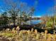 Scenic lake view framed by trees, offering a serene and natural backdrop at 278 W Waterlynn Rd, Mooresville, NC 28117