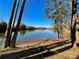 Peaceful lake view showcasing calm waters and clear blue skies at 278 W Waterlynn Rd, Mooresville, NC 28117