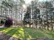 Expansive backyard featuring mature trees and green grass at 12217 Greymore Ct, Charlotte, NC 28277