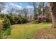 Spacious backyard with mature trees and lush greenery provides a serene outdoor oasis at 1041 Cutler Pl, Charlotte, NC 28212