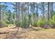 Tranquil backyard setting with a rustic outdoor dining area, surrounded by towering trees and natural landscaping at 1370 Martin Rd, Hickory Grove, SC 29717