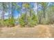 Idyllic property featuring a scenic path leading to a charming blue home, set amidst a backdrop of towering trees at 1370 Martin Rd, Hickory Grove, SC 29717