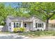 Beautiful single-story home with updated siding, black shutters, and a verdant, landscaped front yard at 1509 Harrill St, Charlotte, NC 28205
