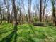 Expansive green backyard with mature trees providing ample shade and privacy to the property at 800 Water Wheel Ct, Charlotte, NC 28209