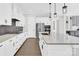 Modern kitchen with sleek white cabinetry, stainless steel appliances, and an island with a sink at 11327 James Coy Rd, Davidson, NC 28036