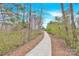 Scenic walking trail winds through lush greenery, perfect for outdoor enthusiasts at 11327 James Coy Rd, Davidson, NC 28036