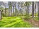 Expansive backyard featuring lush lawn and mature trees offering shade and privacy at 1823 Rain Forest Dr, York, SC 29745