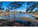 Scenic lake view showcasing trees and calm waters under a bright blue sky at 1017 Village Green Ln, Rock Hill, SC 29730