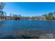 Serene lake view featuring trees, clear blue skies, and gentle waters at 1017 Village Green Ln, Rock Hill, SC 29730