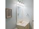 Bathroom featuring a white sink, mirror, and a framed picture on the wall at 513 Buttercup Way, Fort Mill, SC 29715