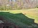 Spacious backyard with lush lawn and mature trees at 1021 Mccollum Oaks Ln, Monroe, NC 28110