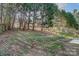 Overgrown backyard area featuring mature trees and partial fencing, offering natural privacy at 10434 Henbane Ct, Charlotte, NC 28213