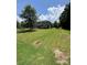 Beautifully landscaped backyard with a large lawn, perfect for outdoor activities and relaxation at 13240 Carolina Wren Ct, Charlotte, NC 28278