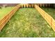 Large backyard with a privacy fence and some small trees at 1922 Hamorton Pl, Charlotte, NC 28205