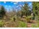 Fenced backyard with green foliage and spring daffodils at 719 N Fulton St, Salisbury, NC 28144