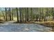 View of the wooded area that backs up to the property, providing a private and natural setting at 816 Osteen Rd, York, SC 29745