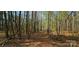 Wooded acreage view across a landscape covered in pine needles, sticks and trees at 816 Osteen Rd, York, SC 29745