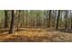 A beautiful and heavily wooded view of the acreage available for sale on the property at 816 Osteen Rd, York, SC 29745